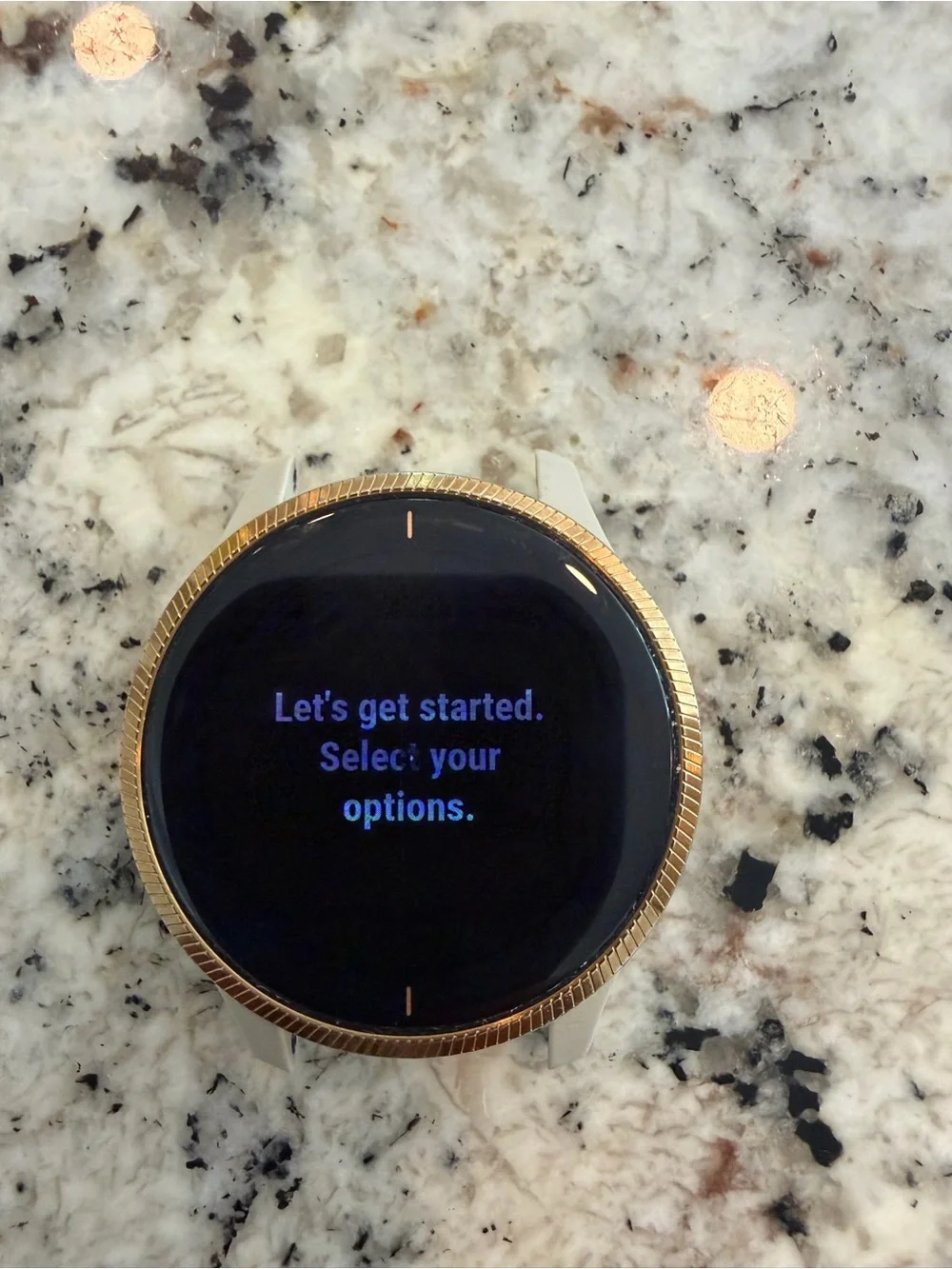 Garmin Venu Smartwatch with extra bands